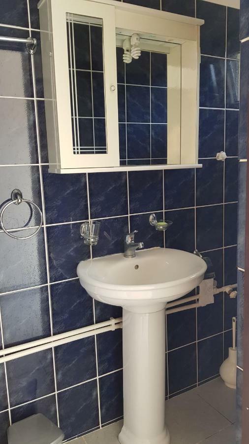 Apartmani Lazarevic ルスティサ エクステリア 写真